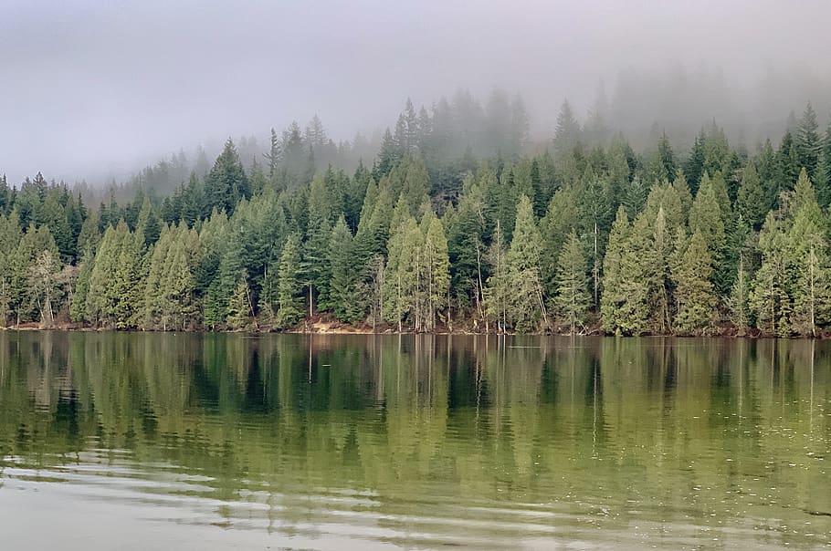 buntzen-lake-canada-anmore-trees-lake-green