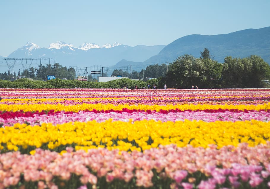 Abbotsford BC