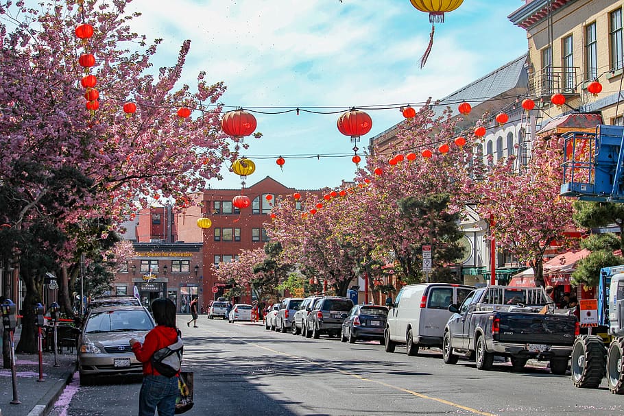 canada-victoria-victoria-chinatown-care-ctr-streets