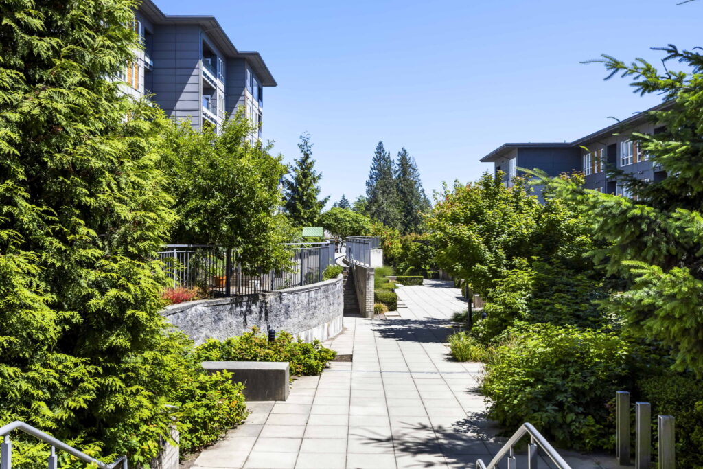 40-web-or-mls-Photo-40